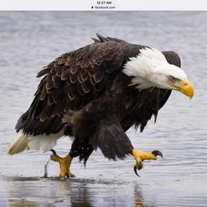 Meet your Posher, Brent